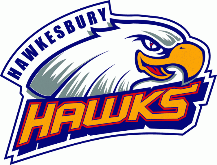 Hawkesbury Hawks 2003-Pres Primary logo iron on heat transfer